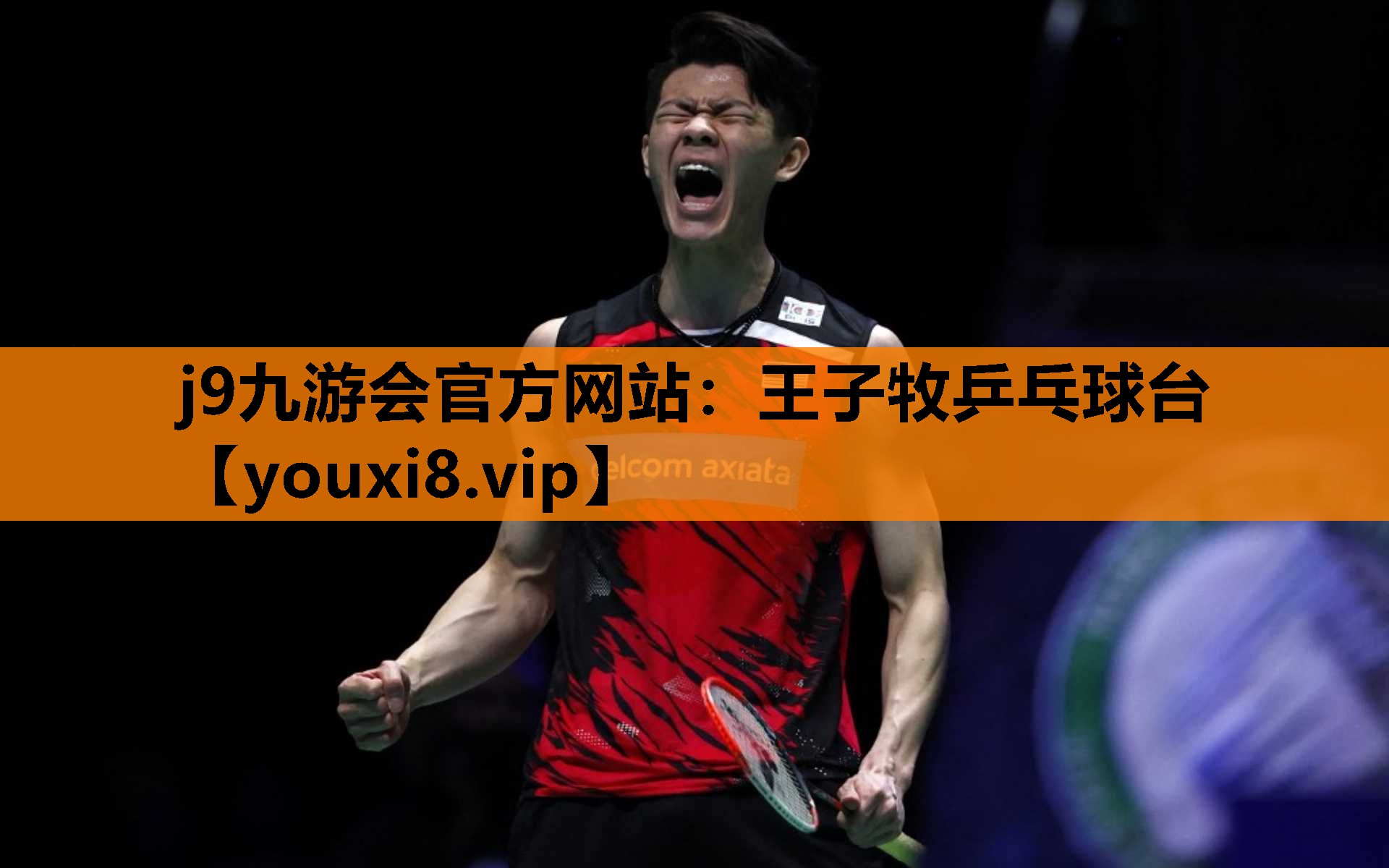 j9九游会官方网站：王子牧乒乓球台