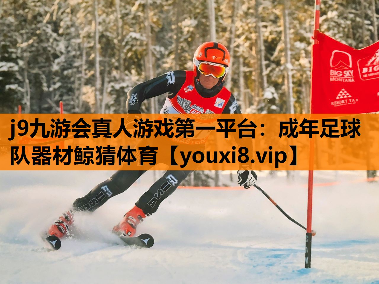 j9九游会真人游戏第一平台：成年足球队器材鲸猜体育
