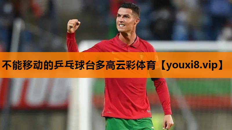 不能移动的乒乓球台多高云彩体育