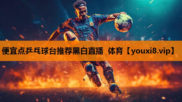 便宜点乒乓球台推荐黑白直播 体育