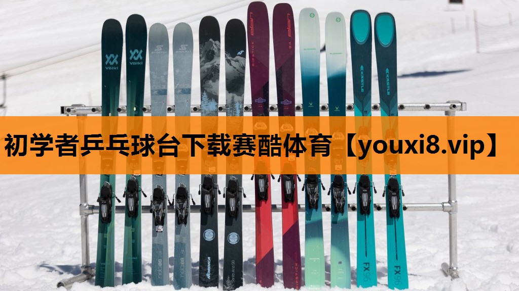 初学者乒乓球台下载赛酷体育