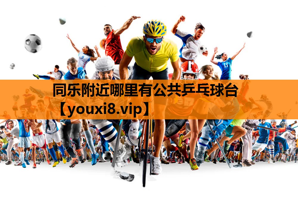 同乐附近哪里有公共乒乓球台