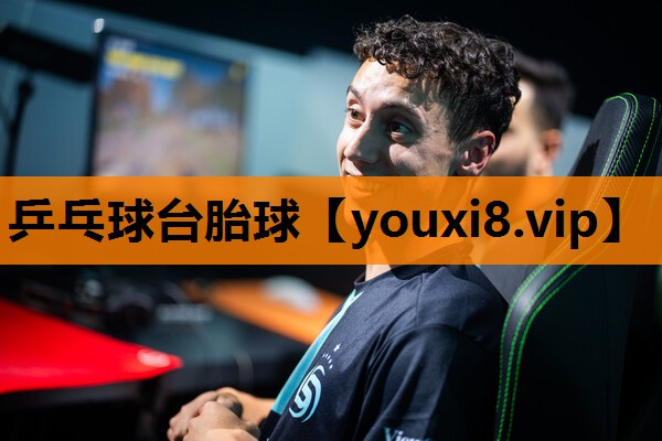 乒乓球台胎球