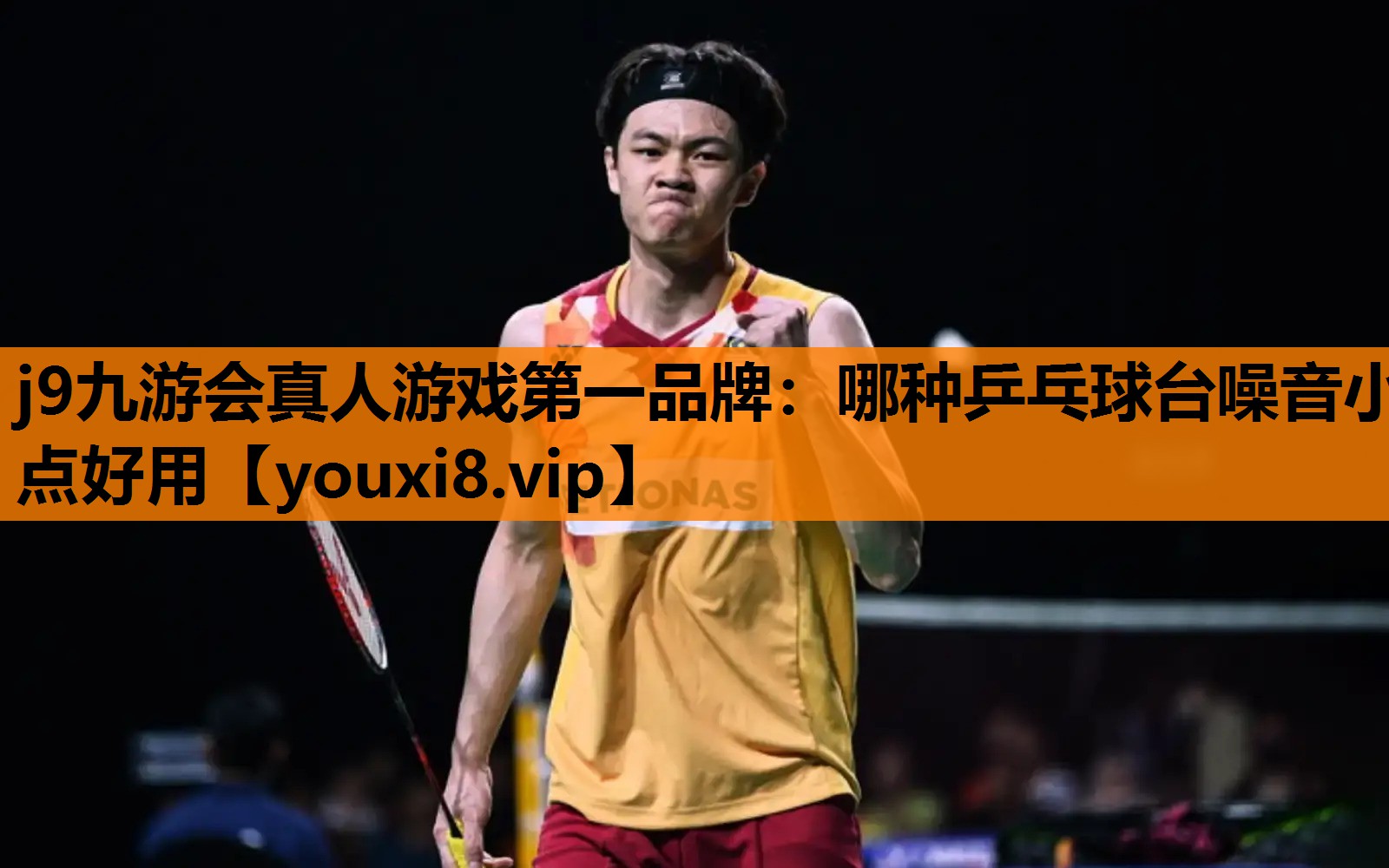 j9九游会真人游戏第一品牌：哪种乒乓球台噪音小点好用