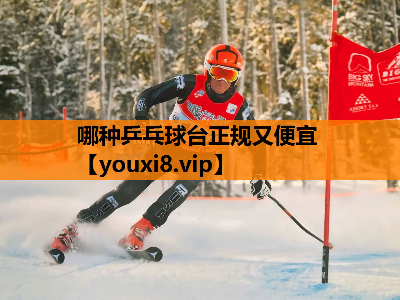 哪种乒乓球台正规又便宜
