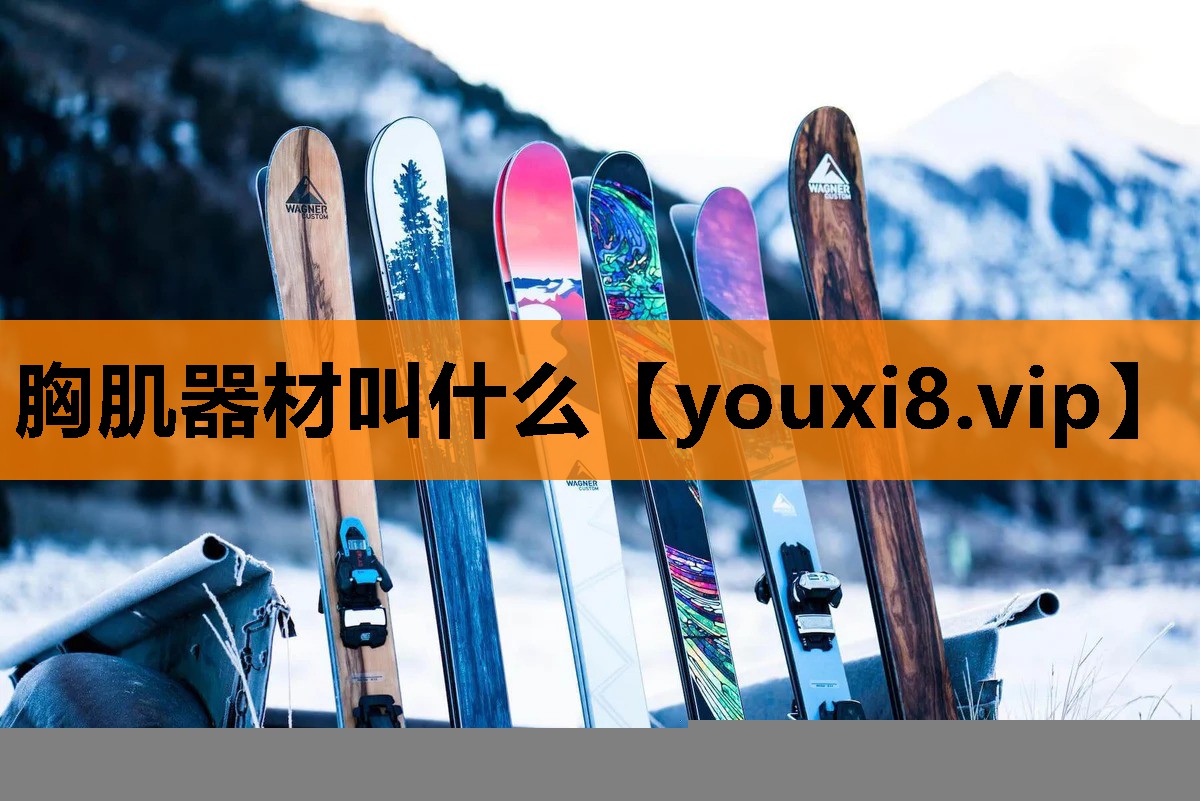 胸肌器材叫什么