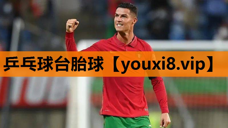 乒乓球台胎球