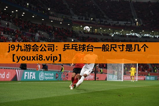 乒乓球台一般尺寸是几个